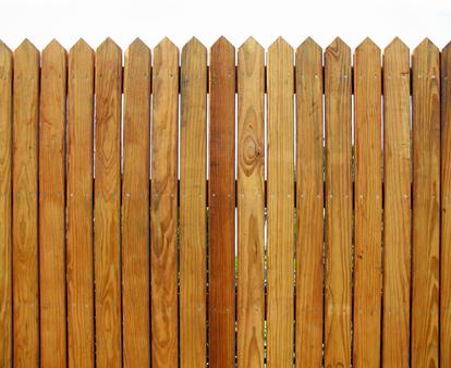 Board-on-Board Fence